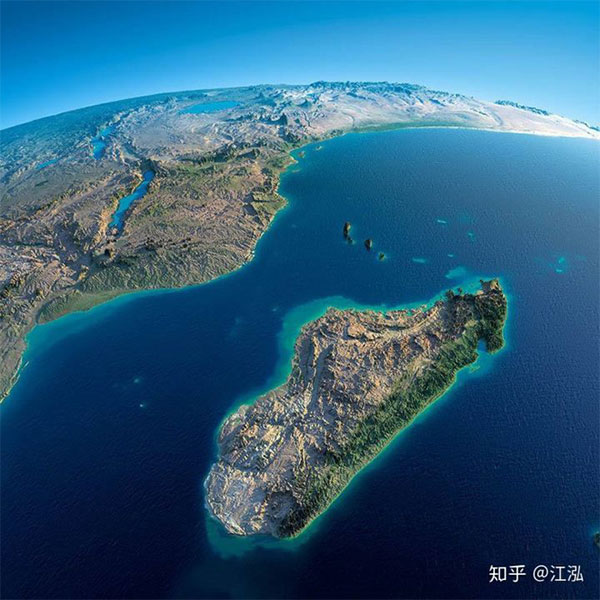 Picture 10 of Madagascar discovered the first giant bird in history to be up to 3 meters high