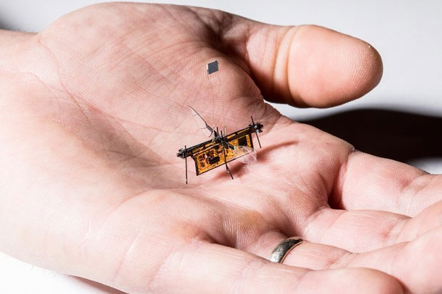 Picture 1 of Marvel at the mini robots that can perform complex tasks