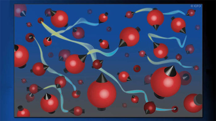 Picture 1 of New record for quantum solidarity