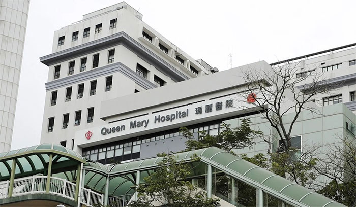 Picture 2 of Numerous Hong Kong people mysteriously contracted hepatitis virus from mice