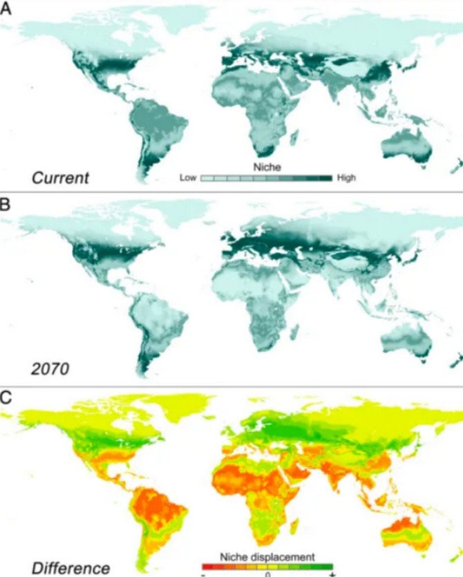 Picture 3 of One-third of the world's population will suffer from extreme temperatures like the Sahara by 2070?