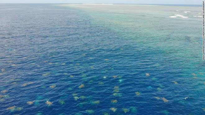 Picture 1 of Overwhelmed with thousands of turtles swimming ashore nesting eggs