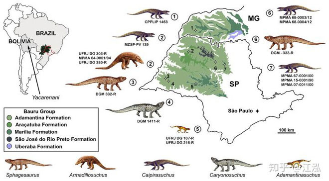 Picture 13 of Paleontologists discovered the most 'repetitive' reptile in the Cretaceous period