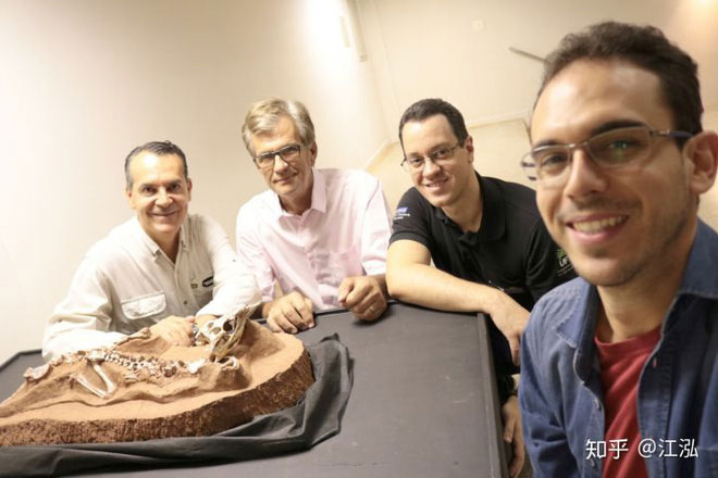 Picture 3 of Paleontologists discovered the most 'repetitive' reptile in the Cretaceous period