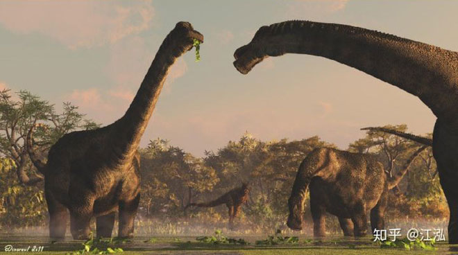 Picture 9 of Paleontologists discovered the most 'repetitive' reptile in the Cretaceous period