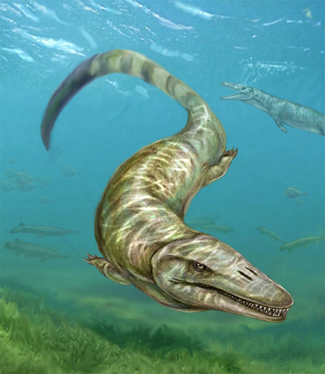 Picture 4 of Pannoniasaurus: The monster is 6 meters long in the fresh water of Hungary