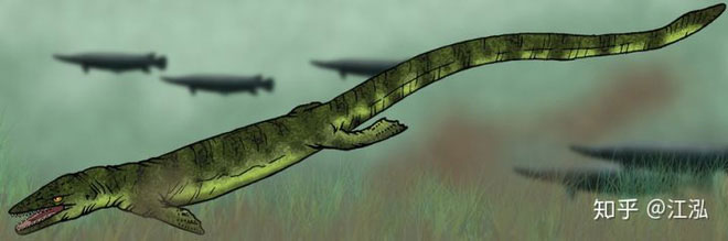 Picture 6 of Pannoniasaurus: The monster is 6 meters long in the fresh water of Hungary