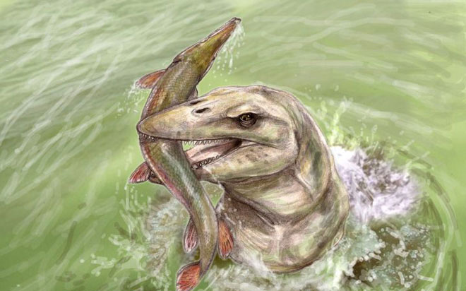 Picture 8 of Pannoniasaurus: The monster is 6 meters long in the fresh water of Hungary