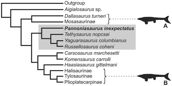 Picture 9 of Pannoniasaurus: The monster is 6 meters long in the fresh water of Hungary