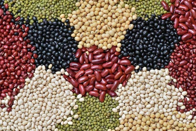 Picture 1 of Pea helps reduce stomach pain