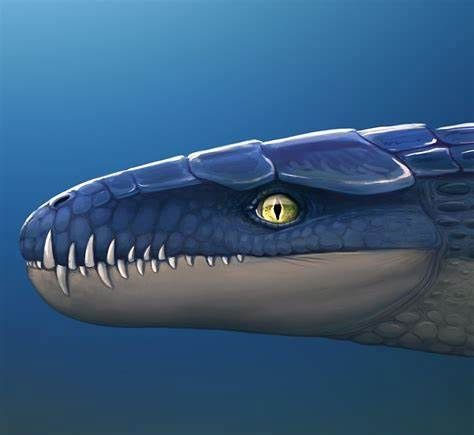 Picture 6 of Prehistoric crocodiles in the ocean even a single bite can make a hole in the belly of the fish