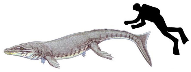 Picture 7 of Prehistoric crocodiles in the ocean even a single bite can make a hole in the belly of the fish