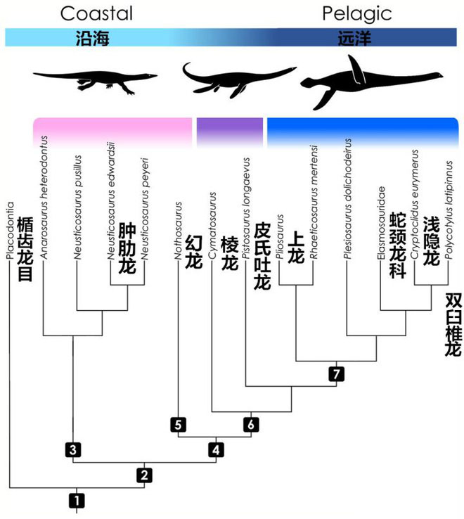 Prehistoric snake neck lizards have similar diving abilities to modern sperm whales Picture 5