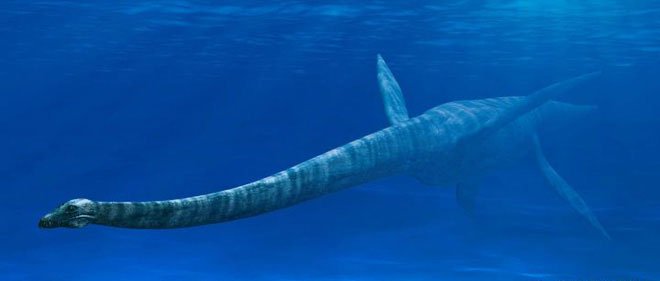 Prehistoric snake neck lizards have similar diving abilities to modern sperm whales Picture 6