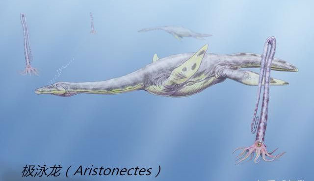Prehistoric snake neck lizards have similar diving abilities to modern sperm whales Picture 8