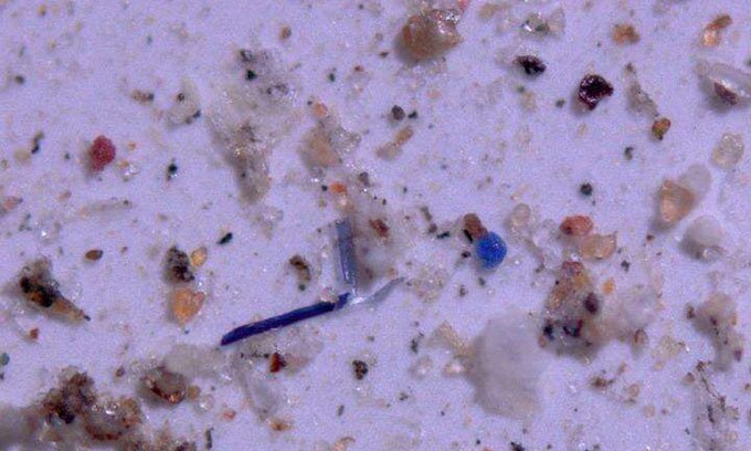 Picture 1 of Rains pour 1,000 tons of plastic into the United States each year