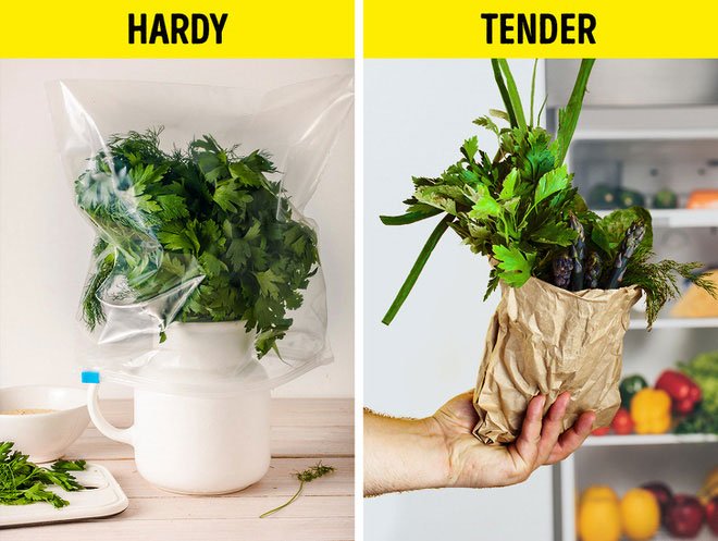 Picture 6 of Science explains what we still do wrong every day without even realizing it