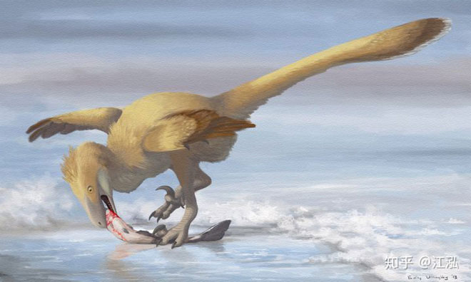 Picture 5 of Scientists uncover the secret to helping birds escape a mass extinction
