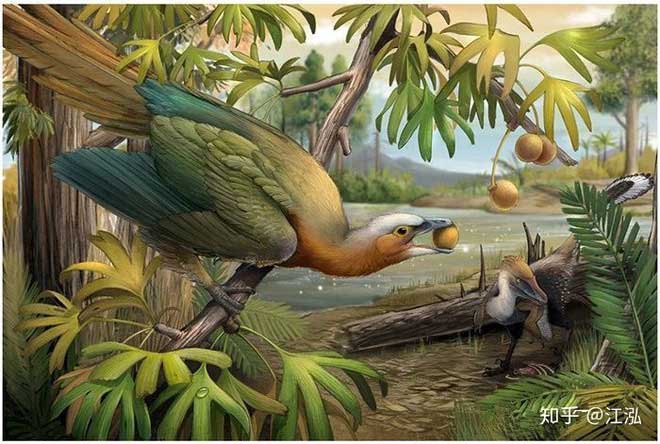 Picture 6 of Scientists uncover the secret to helping birds escape a mass extinction