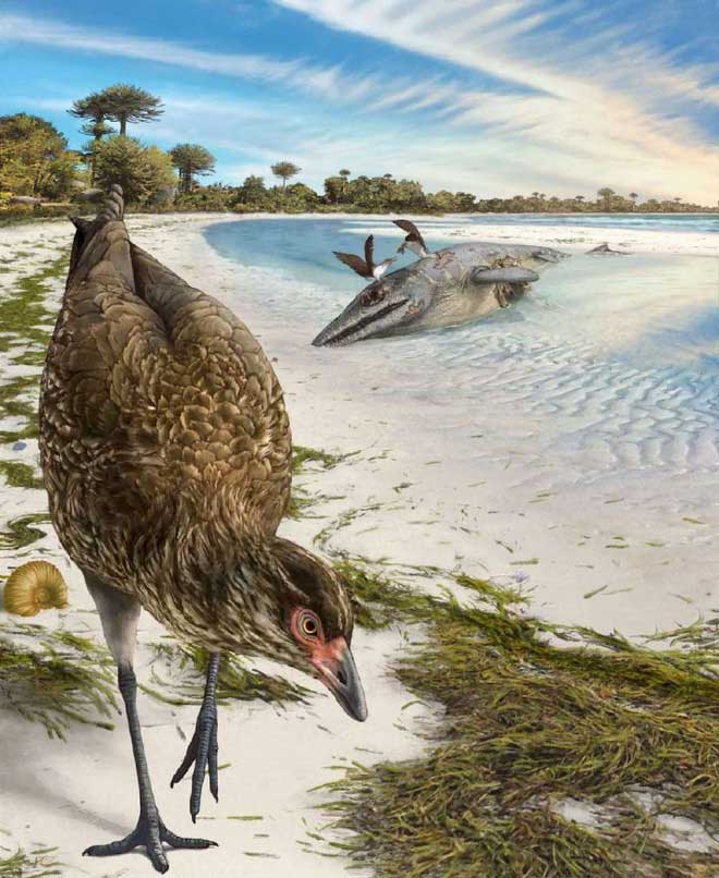 Picture 7 of Scientists uncover the secret to helping birds escape a mass extinction