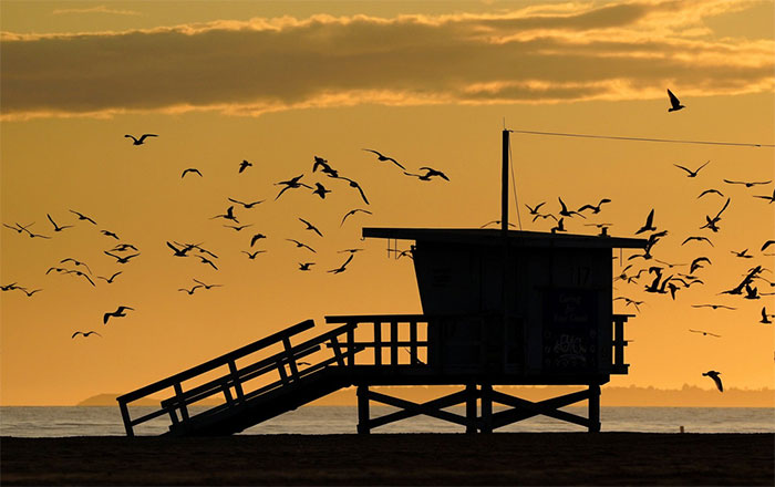 Set of breathtakingly beautiful images capturing a world without people Picture 10