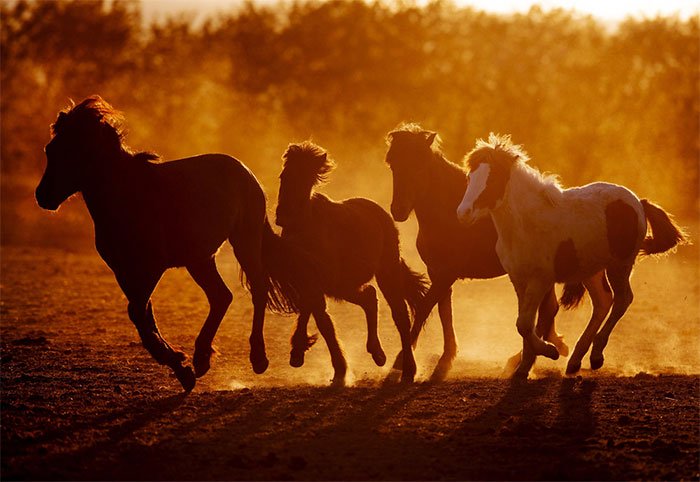 Set of breathtakingly beautiful images capturing a world without people Picture 15