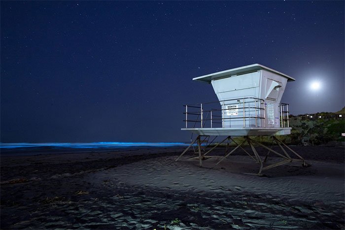 Set of breathtakingly beautiful images capturing a world without people Picture 16
