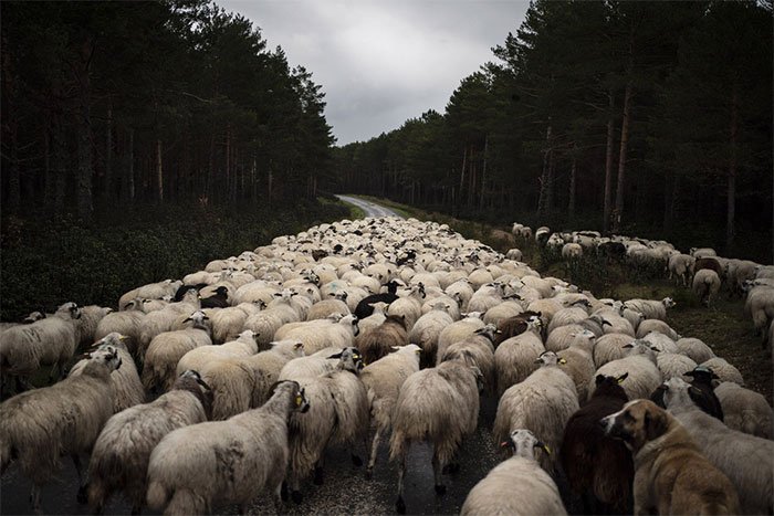 Set of breathtakingly beautiful images capturing a world without people Picture 5