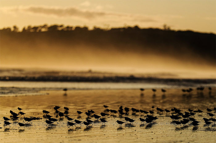 Set of breathtakingly beautiful images capturing a world without people Picture 7