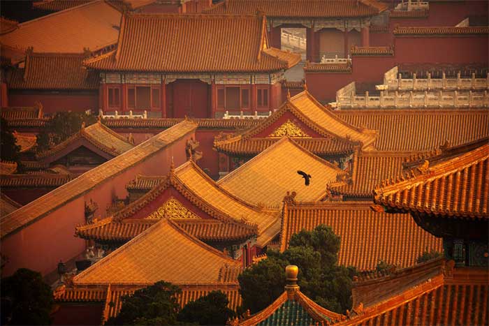 Set of breathtakingly beautiful images capturing a world without people Picture 9