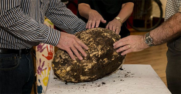 Picture 1 of Startled food thousands of years old can still be eaten