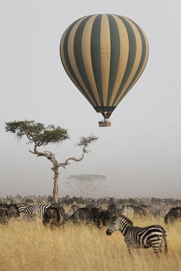 Picture 12 of Strange and interesting things make visitors surprised about Africa