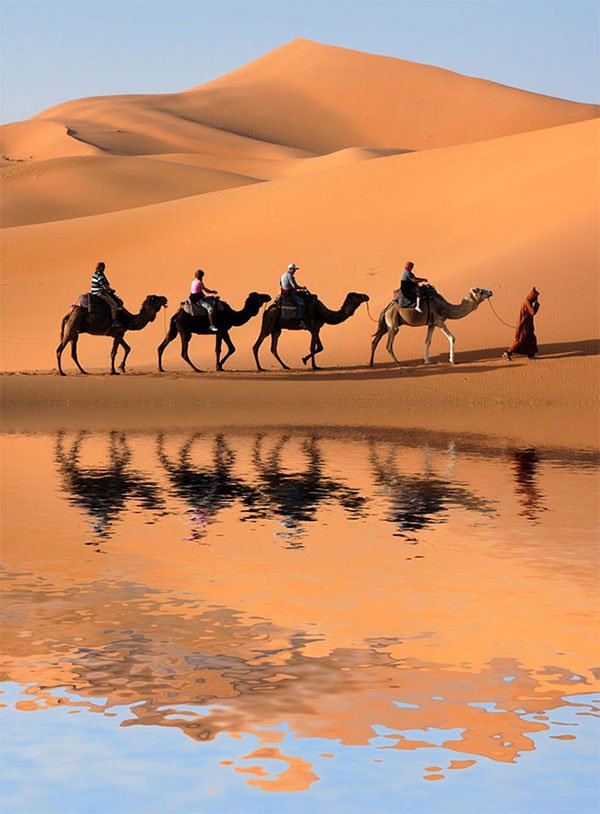 Picture 17 of Strange and interesting things make visitors surprised about Africa