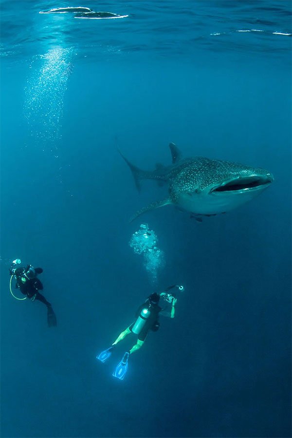 Picture 5 of Strange and interesting things make visitors surprised about Africa