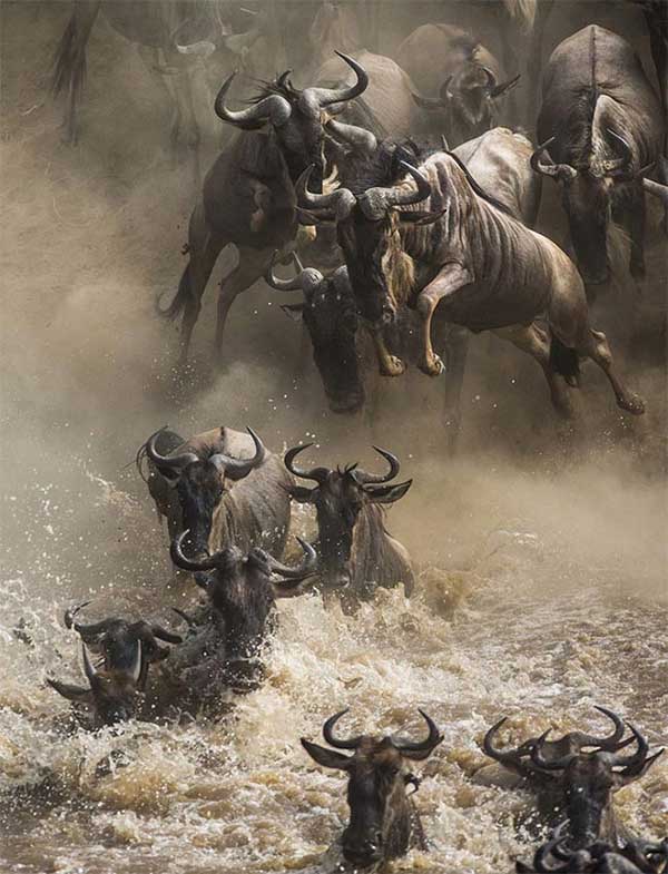 Picture 6 of Strange and interesting things make visitors surprised about Africa