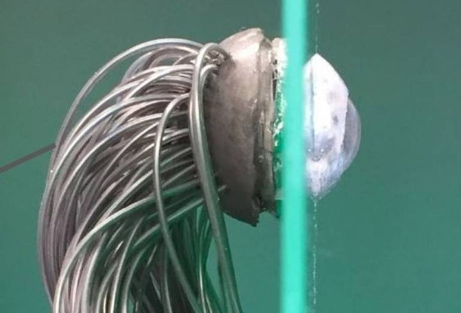 Picture 1 of Successful fabrication of biological eyes