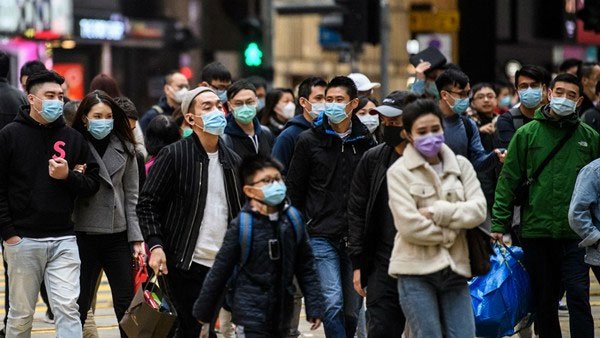 Picture 3 of The 'apocalyptic virus' from industrial chicken can 'color' half of the world's population