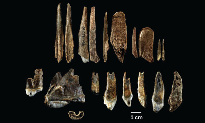 Picture 2 of The earliest evidence of clever people in Europe