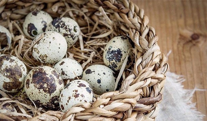 Picture 2 of The great benefits of quail eggs