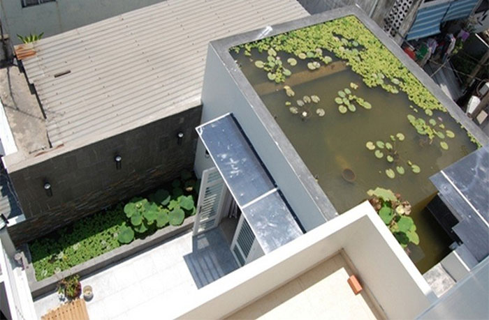 Picture 2 of The most effective way to fight against roofs