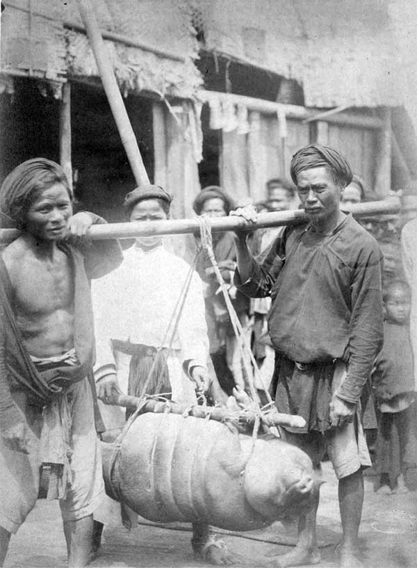 The oldest series of photos known about Hai Phong Picture 9