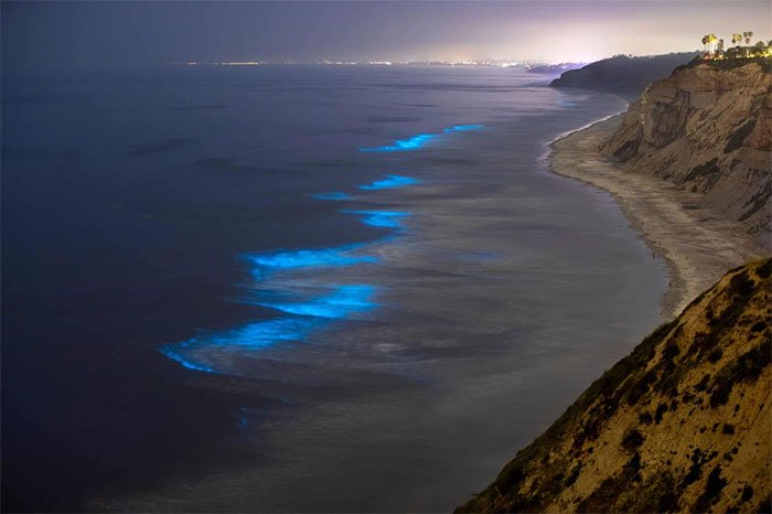 Picture 2 of The rare sight is overwhelming on the California coast
