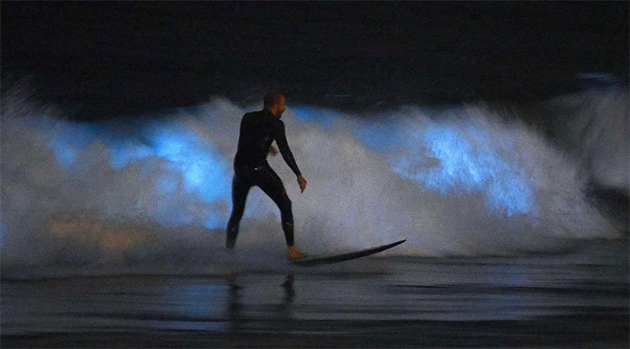 Picture 6 of The rare sight is overwhelming on the California coast