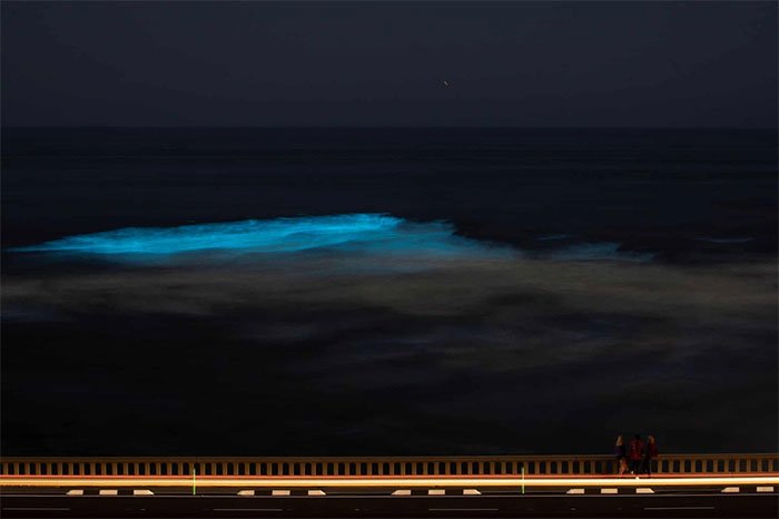 Picture 9 of The rare sight is overwhelming on the California coast