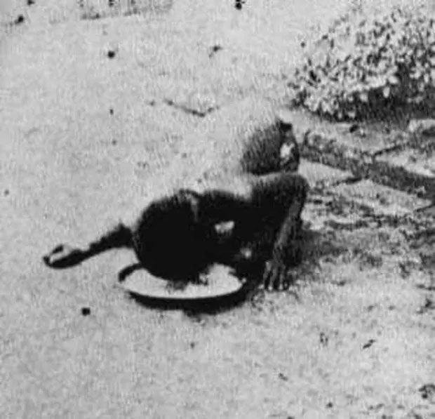 Picture 2 of The real life prototype of the jungle boy: Unable to speak human language, live like a handicapped man and die in illness after 20 years of leaving the pack