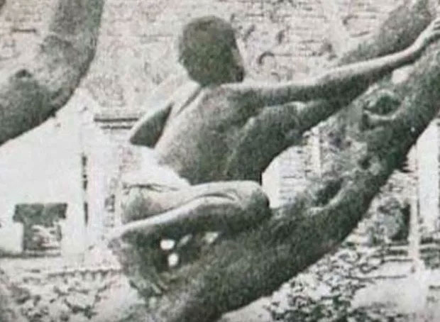Picture 4 of The real life prototype of the jungle boy: Unable to speak human language, live like a handicapped man and die in illness after 20 years of leaving the pack