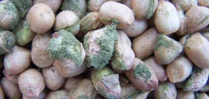 Picture 6 of The toxins from plant food