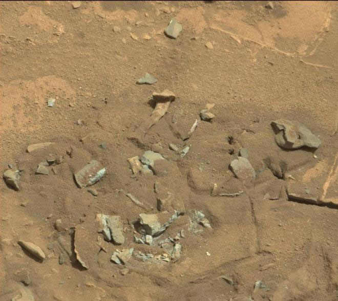 Picture 1 of The truth about the photo of 'human bones' on the surface of Mars