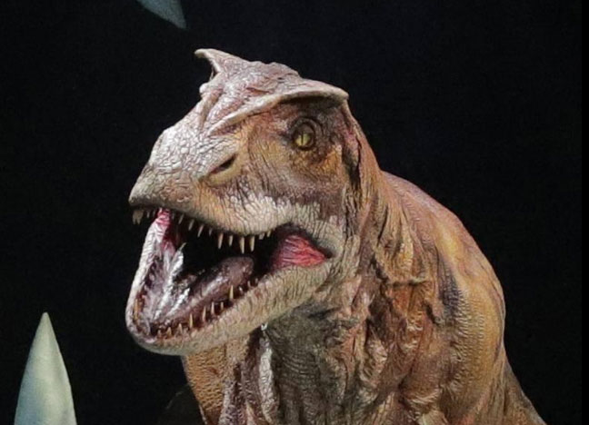 Tyrannosaurus also cannibalism