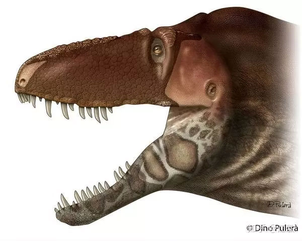 Picture 4 of Tyrannosaurus Tyrannosaurus relies on her sixth sense to 'love'?